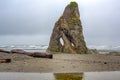 Ruby Beach, Olympic National Park in the U.S. state of Washington Royalty Free Stock Photo