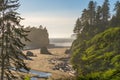 Ruby Beach, Olympic National Park, Washington, USA Royalty Free Stock Photo