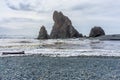 Ruby Beach Rock Monolith 6