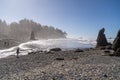 Horizontal view of visitors admiring the sea stacks at Ruby Beach in Olympic National Park