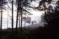 Ruby Beach, Washington, USA