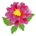 Ruby Flower Royalty Free Stock Photo