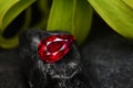 Ruby Gemstone Beauty shot gemstone natural Royalty Free Stock Photo