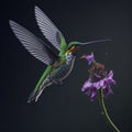 Ruby-gold hummingbird (archilochus colubris) in flight.
