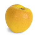 Ruby gold yellow apple Royalty Free Stock Photo