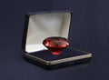 Ruby in Jewel Box Royalty Free Stock Photo