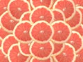 Ruby red grapefruit Royalty Free Stock Photo