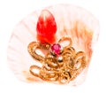 Ruby stone in golden necklace inside seashell