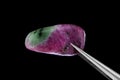 Ruby zoisite stone texture in tweezers on black background. Macro closeup Royalty Free Stock Photo