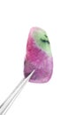 Ruby zoisite stone texture in tweezers on light surface background. Macro closeup Royalty Free Stock Photo