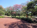 RubÃÂ©n DarÃÂ­o Park in Recoleta Royalty Free Stock Photo