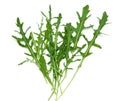 Ruccola Royalty Free Stock Photo