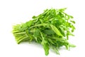 Ruccola Royalty Free Stock Photo