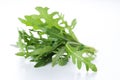 Ruccola Royalty Free Stock Photo