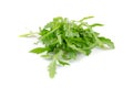 Ruccola salad Royalty Free Stock Photo