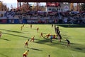 Ruck position in rugby. BLACK LION - CASTILLA Y LEON IBERIANS. Avchala Stadium, Tbilisi, Georgia