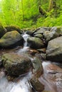 Ruckel Creek in Columbia River Gorge Royalty Free Stock Photo