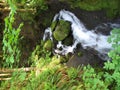 Ruckel Creek in Oregon Royalty Free Stock Photo