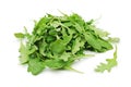 Rucola