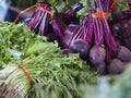 Rucola and beetroots