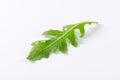 Rucola leaf