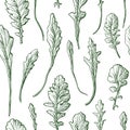 Rucola leaf texture seamless pattern Nature print