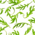 Rucola seamless pattern. Arugula leaves isolated on white background Royalty Free Stock Photo