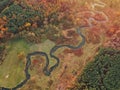 Ruda river in Poland. Top down. Autumn