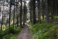 Rudawy Janowickie Landscape Park. Mountain range in Sudetes in Poland. View from Mala Ostra hill