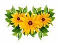 Rudbeckia flowers and green leaves arrangement Royalty Free Stock Photo