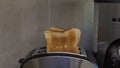 Ruddy toast synchronously jumping out of toaster attracting with crust and smell