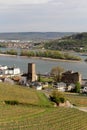 Rudesheim am Rhein Vineyards, Germany. Royalty Free Stock Photo