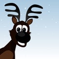 Rudolf the black nose reindeer