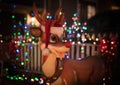 Rudolph the raindeer with bokeh of Christmas lights Royalty Free Stock Photo