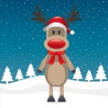 Rudolph reindeer red nose santa claus hat Royalty Free Stock Photo