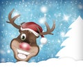 Rudolph Wink Christmas Winter