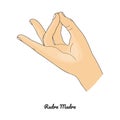 Rudra Mudra / Gesture of Solar Plexus. Vector Royalty Free Stock Photo