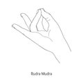 Rudra Mudra / Gesture of Solar Plexus. Vector