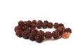 Rudraksh Mala Royalty Free Stock Photo