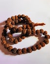 Rudraksha japa Mala  Prayer beads made from the seeds of the rudraksha tree on white background ,108 beads Royalty Free Stock Photo