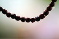 Rudraksha Mala