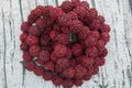 A rudraksha mala is the seed of the Eliocarpus ganitrus tree used as prayer beads in Hinduism especially Shaivism .
