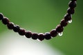 Rudraksha Mala