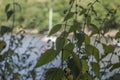 Rudyard Lake, England - a view through nettles. Royalty Free Stock Photo