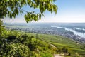 Ruedesheim in the Rheingau Royalty Free Stock Photo