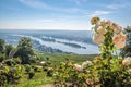 Ruedesheim in the Rheingau Royalty Free Stock Photo