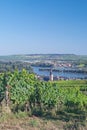 Ruedesheim,Rhine River,Germany Royalty Free Stock Photo
