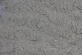 Ruff exterior plaster grey wall texture