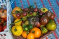 Ruffled heirloom tomatoes organic vegetables