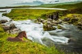 Ruffled sleek Icelandic horse Royalty Free Stock Photo